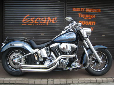 HARLEY-DAVIDSON FLSTF カスタム 黒