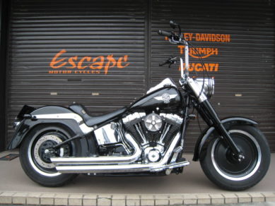 HARLEY-DAVIDSON FLSTF カスタム