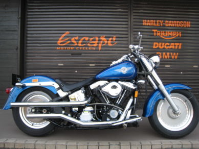 HARLEY-DAVIDSON FLSTF EVO
