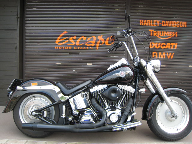Harley-Davidson FLSTF カスタム