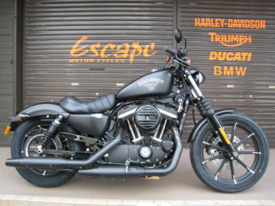 HARLEY-DAVIDSON XL883N アイアン