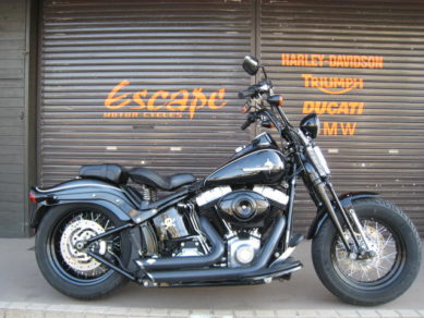 HARLEY-DAVIDSON FLSTSB クロスボーンズ