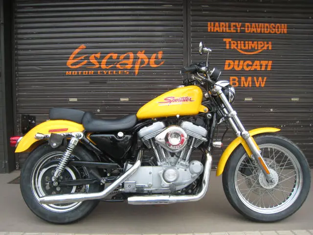 XL883C ワンオフマフラー XL883C カスタム | Escape Bike
