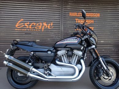HARLEY-DAVIDSON XR1200 カスタム
