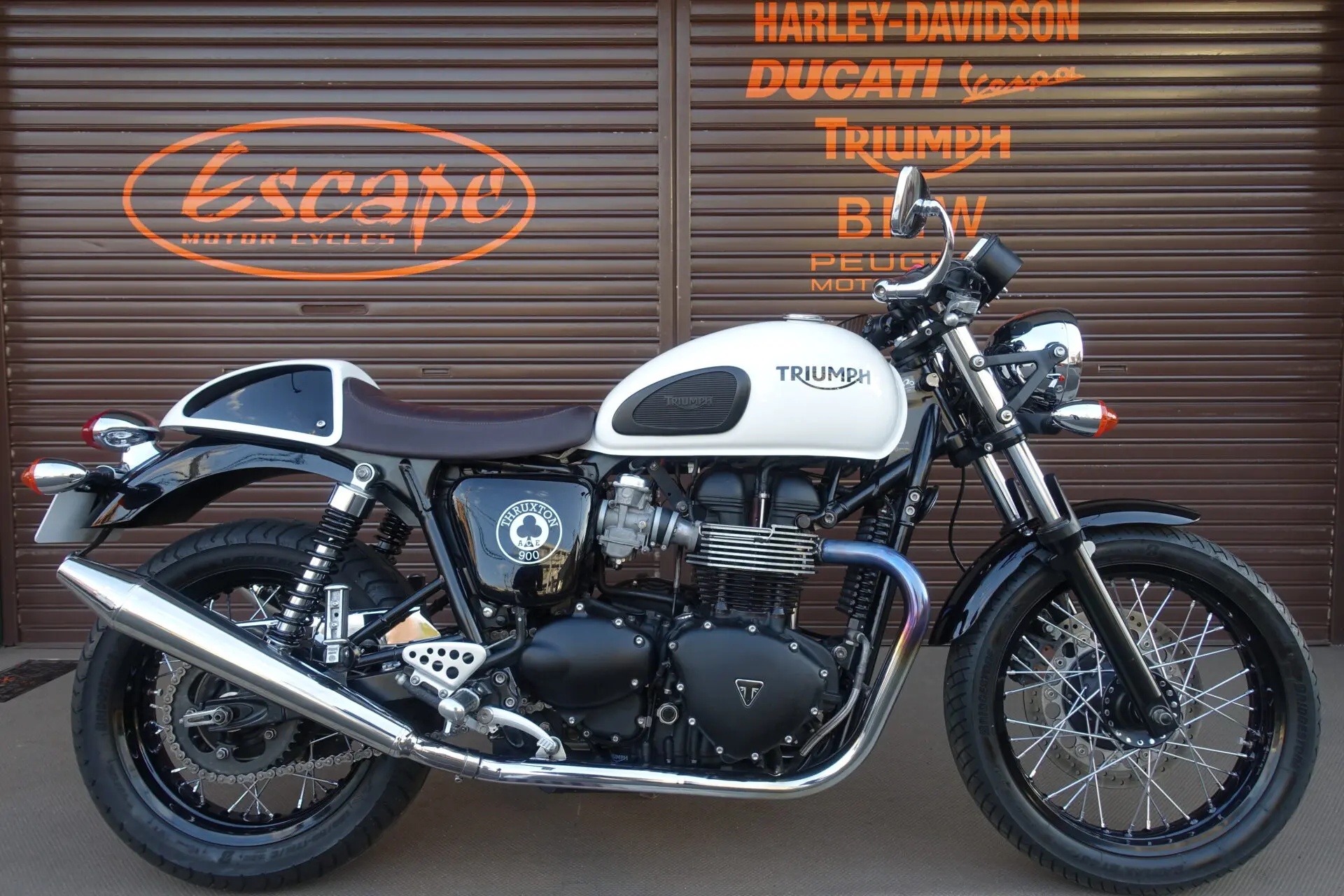 TRIUMPH スラクストン ACEスペシャルエディション NormanHydeピー